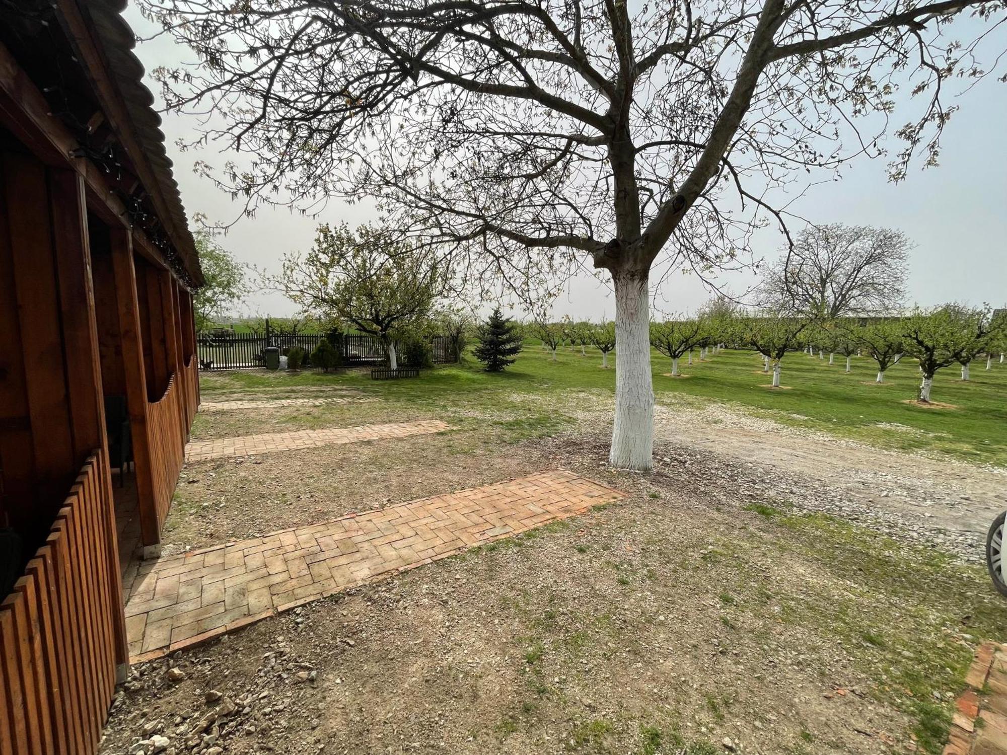 Salas Isailovi สเรมสกา มิโตรวิตซา ภายนอก รูปภาพ